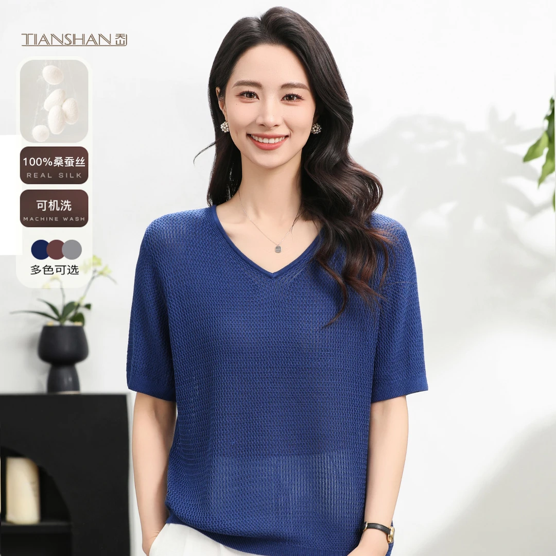 天山【100桑蚕丝】夏季新款时尚休闲百搭V领针织衫--YTNL5512T