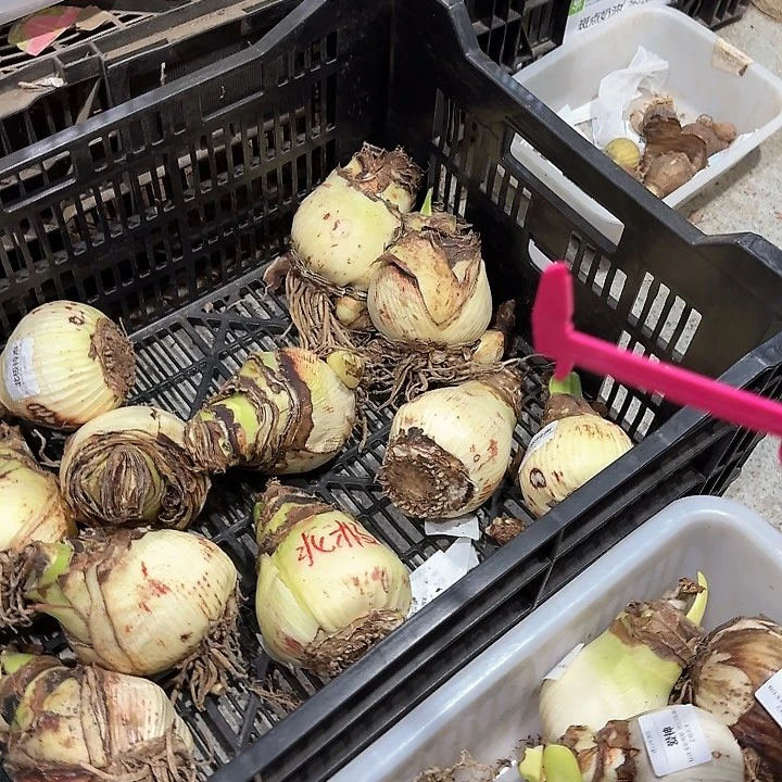 北极铃声9公分左右大大丑球