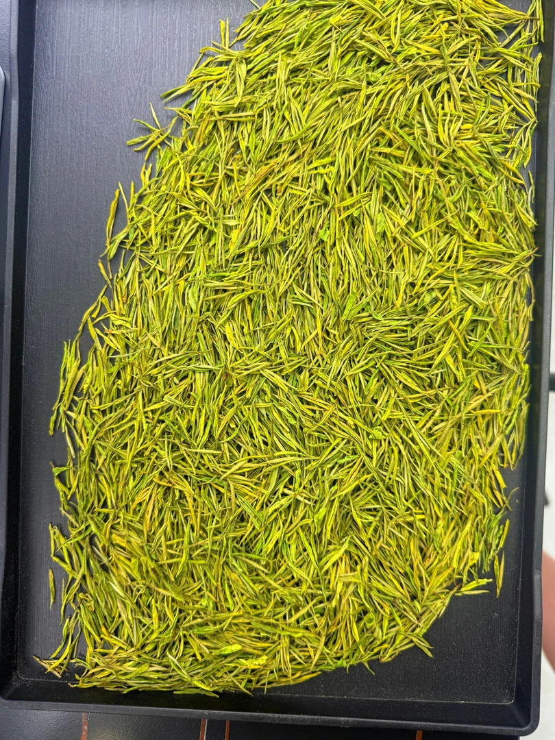 【高山奶香H5】安吉原产地高山茶头春头采安吉奶香白叶二号