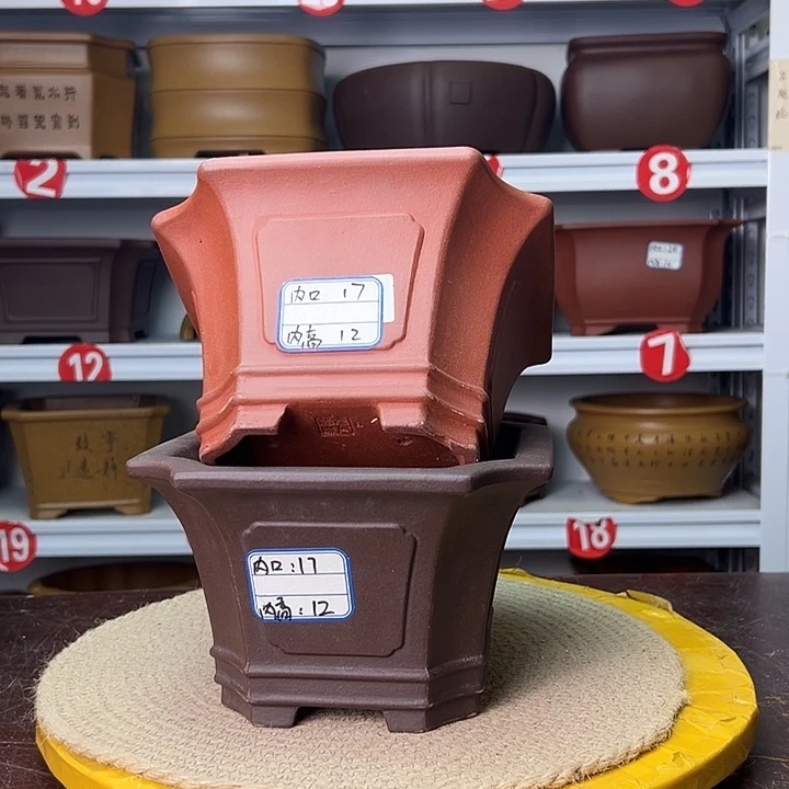 花盆紫砂蛇年大吉