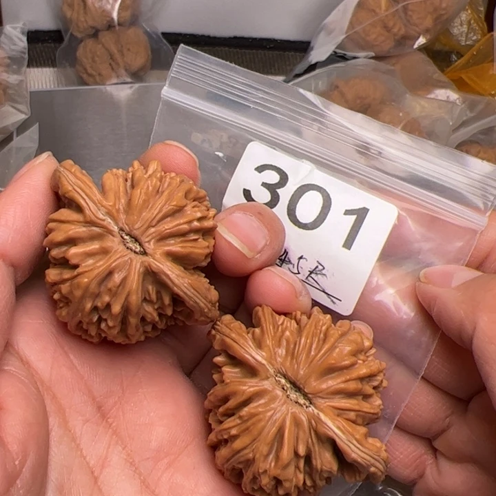 核桃全品四座楼301号45