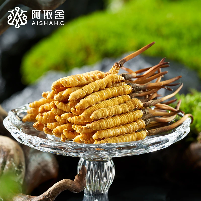 阿依舍头茬新鲜冬虫夏草0.6g/根共10根正宗鲜虫草