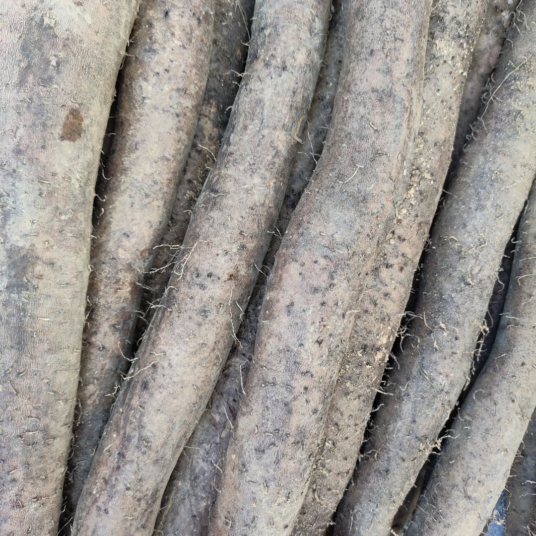 正宗罗城本地淮山