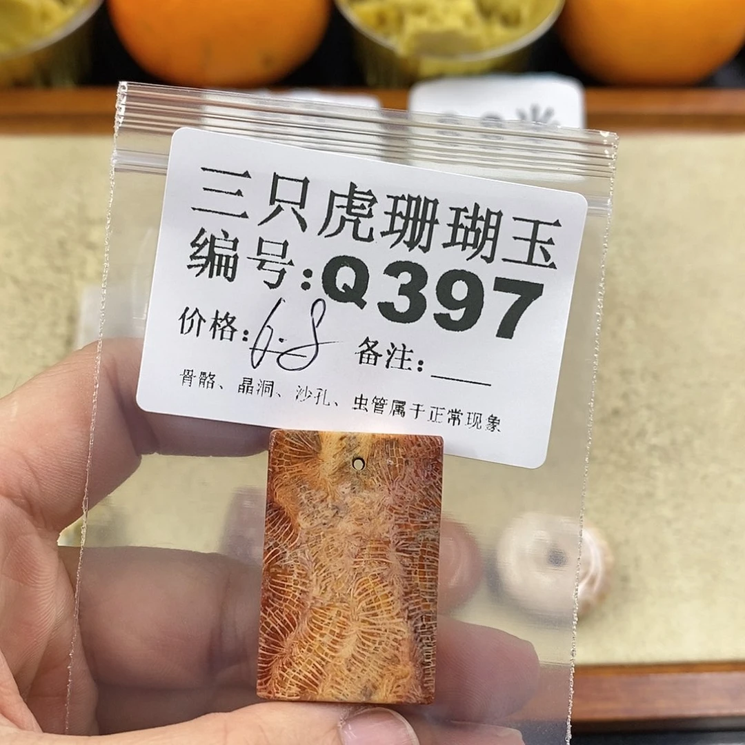 硅化珊瑚（珊瑚玉）1未镶嵌成*