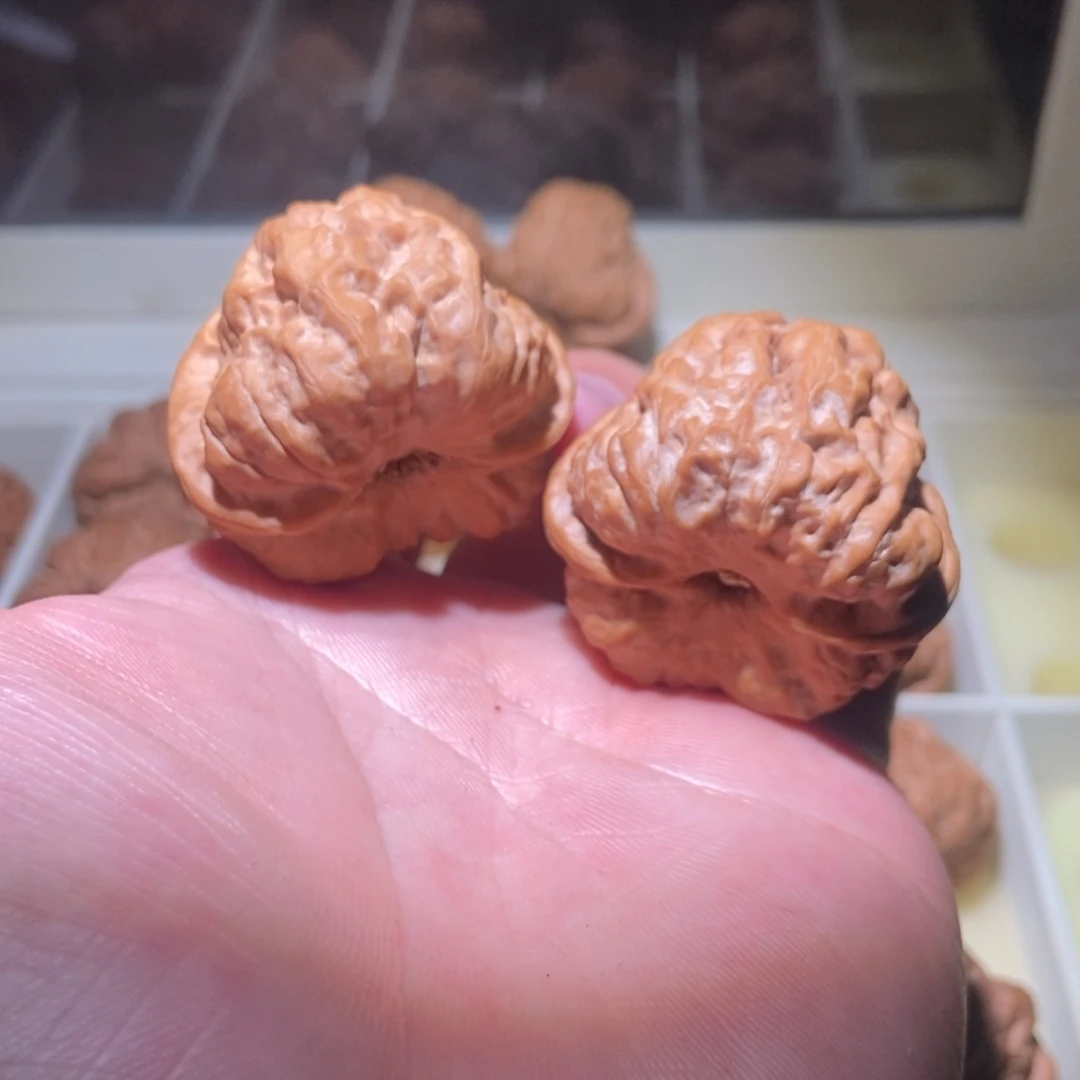 文玩核桃把件别****速42全品