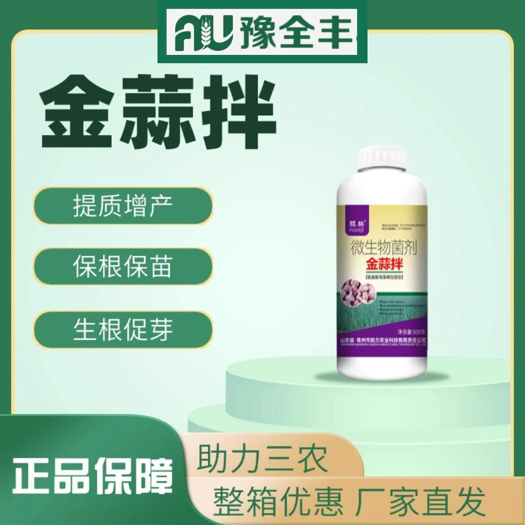 [豫全丰] 金蒜拌 大蒜拌种专用生根壮苗养根护根微生物肥料