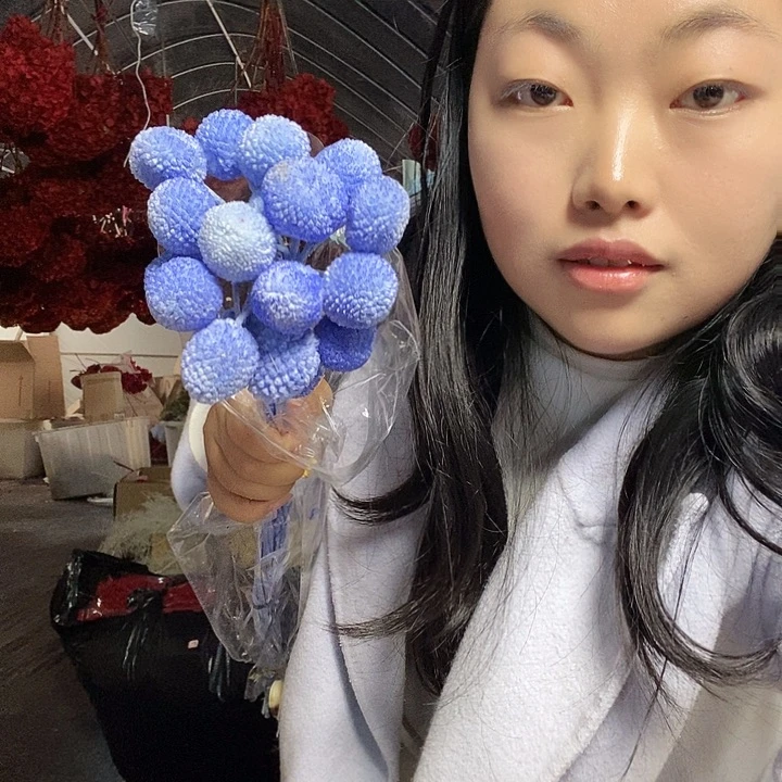 永生黄金球，粉色，红色，蓝色，紫色