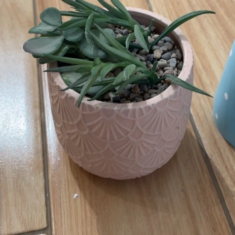摆件摆件摆件摆件摆件不