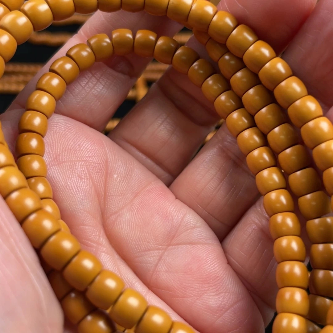 坝*橄榄橄榄橄榄橄榄橄榄