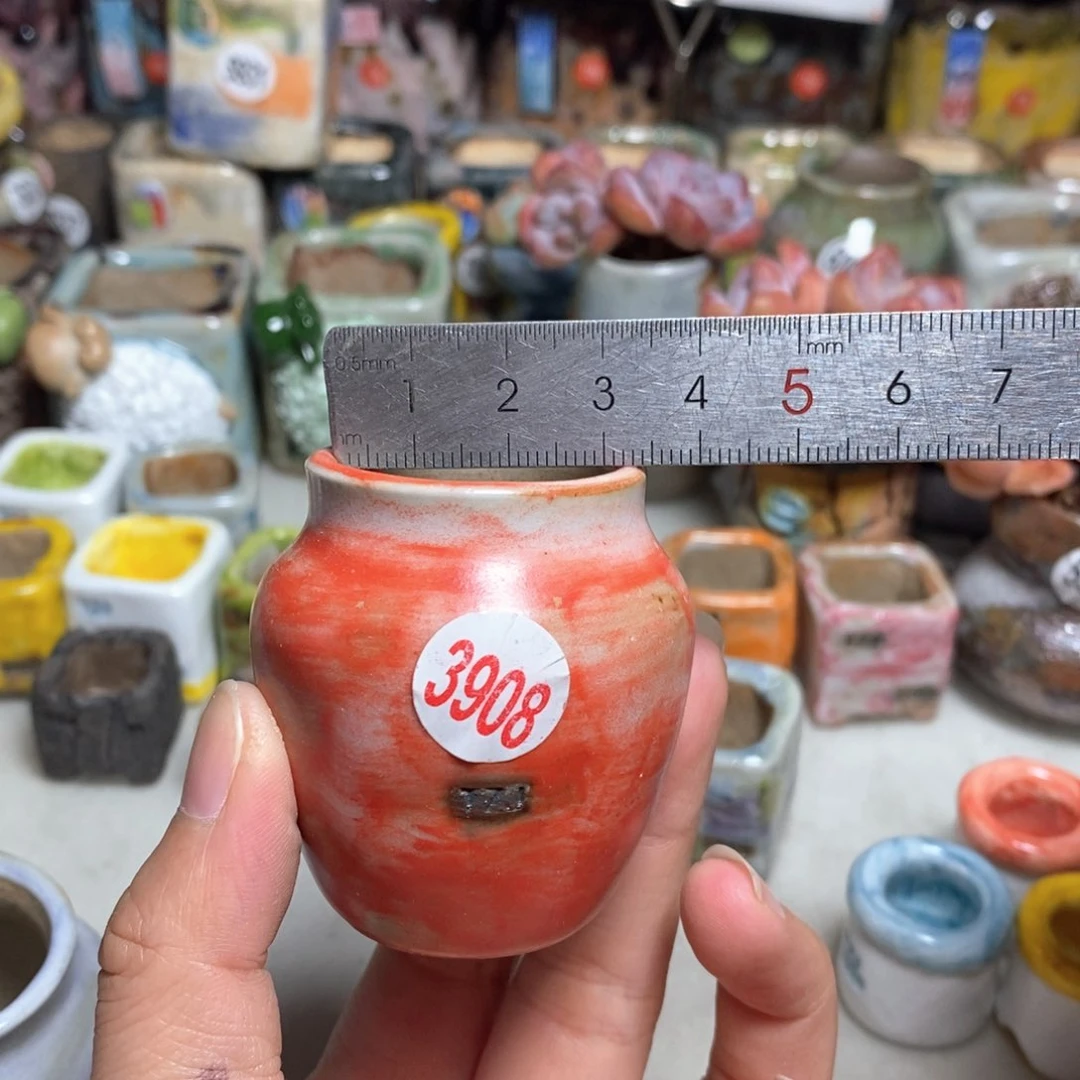 拍5送一个小礼物