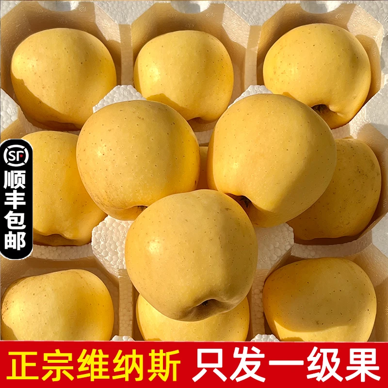 正宗山东维纳斯黄金苹果新鲜水果当季整箱现摘现发甜奶油苹果