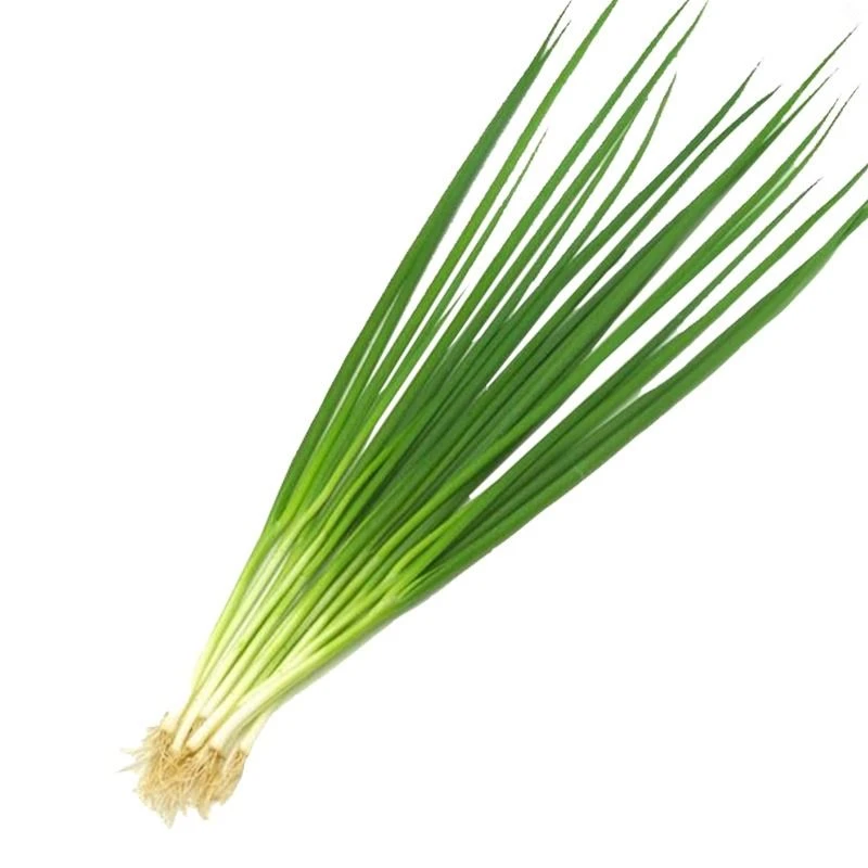 小葱 小香葱 约100g