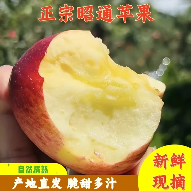 【当季鲜果】正宗云南昭通冰糖心丑苹果新鲜脆甜多汁现摘9.5斤包邮