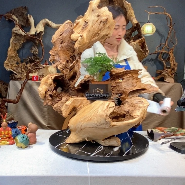 木自**风草木堂根艺摆件193