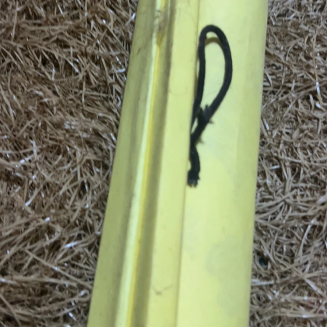 【闪购商品】高端精美木摆件黄色一件链接