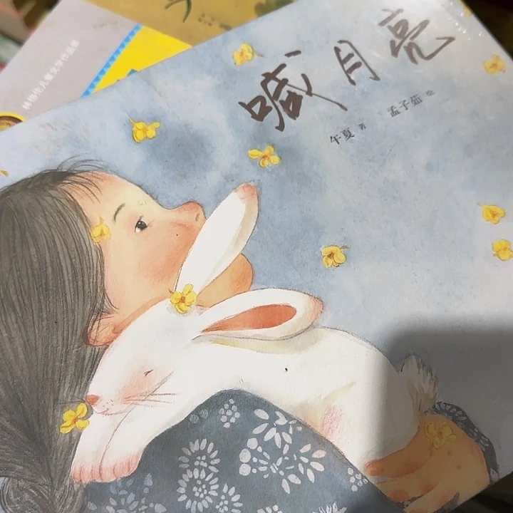 微瑕精装超厚喊月亮