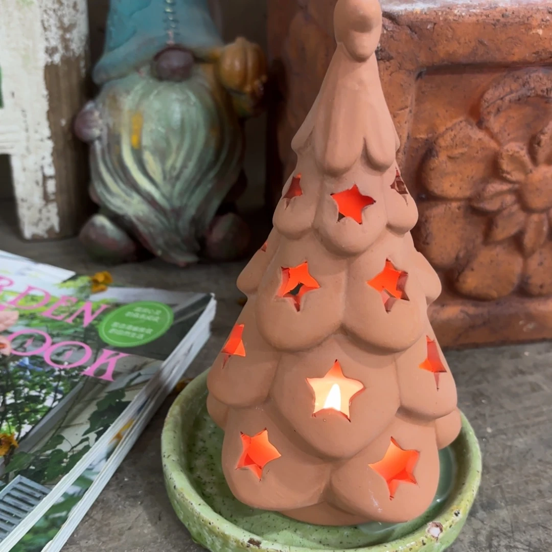 许纯的花房 树+托盘