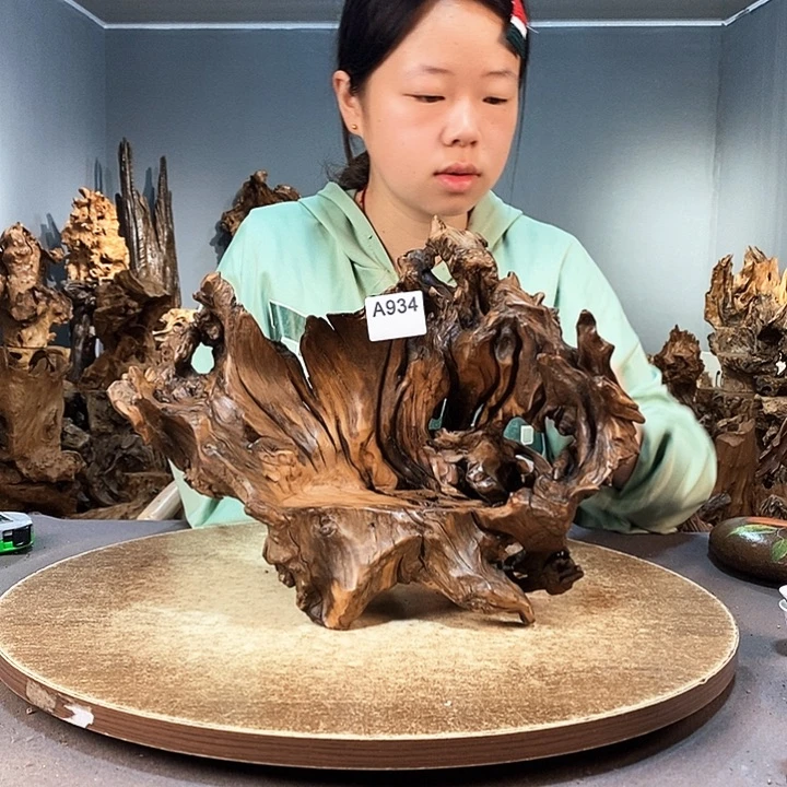 茶盏风*934株木随行的小根艺