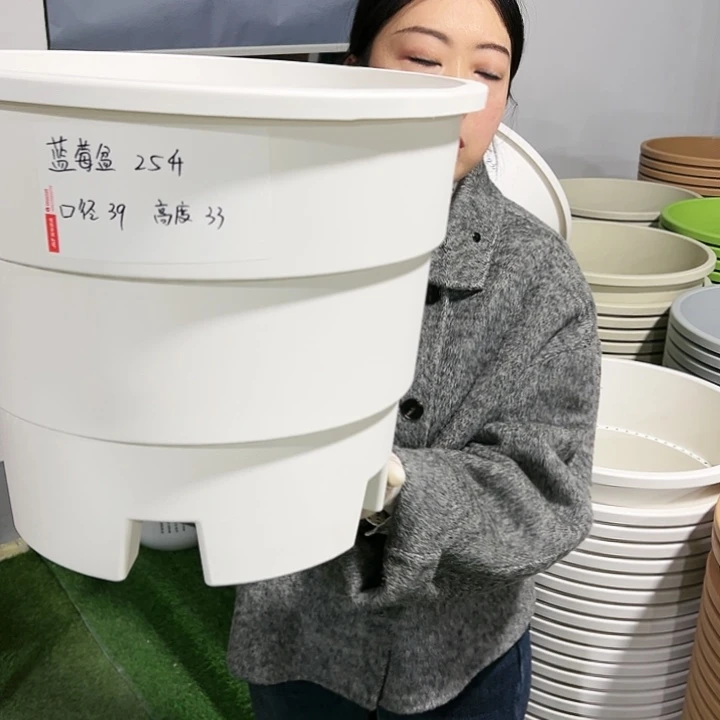 正品蓝莓盆口39高33白色3只无托