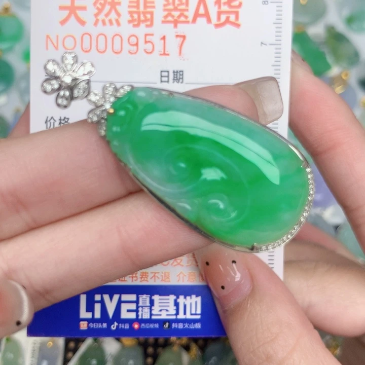 楚***飞翡翠18K金镶嵌颈饰如意