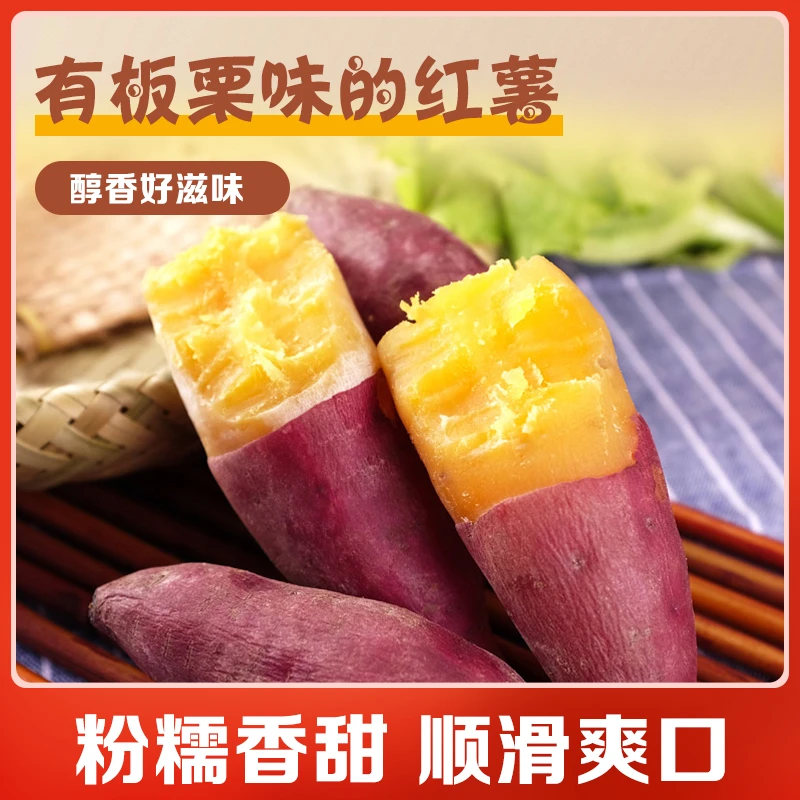 【新鲜现挖】板栗红薯4.5斤辅食软糯香甜现摘现发-kk