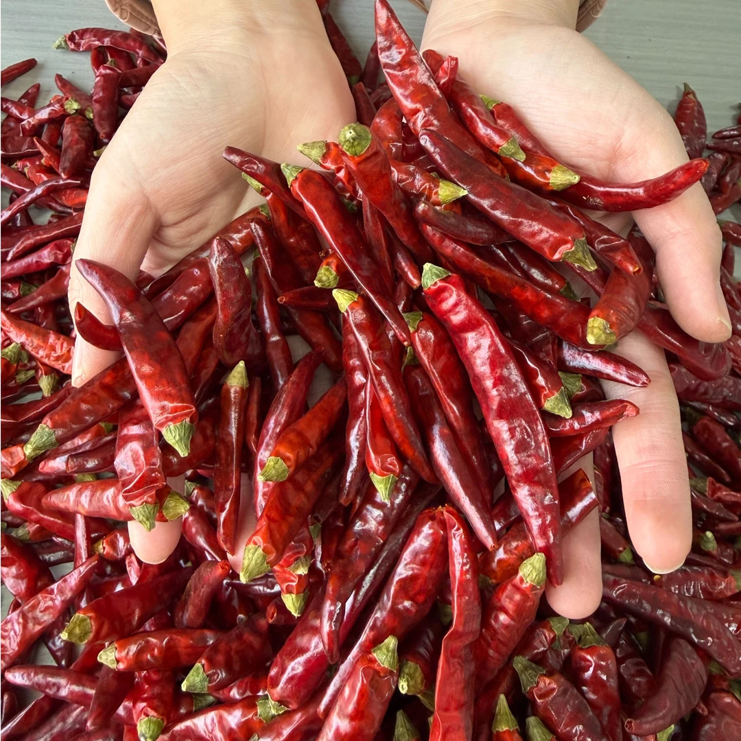 （特辣特香）满天星贵州遵义本地干辣椒火锅冷吃系列辣炒系列必备