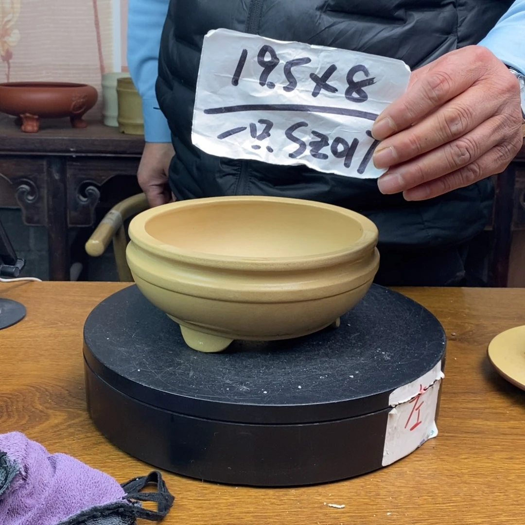 红陶货号一只SZ017