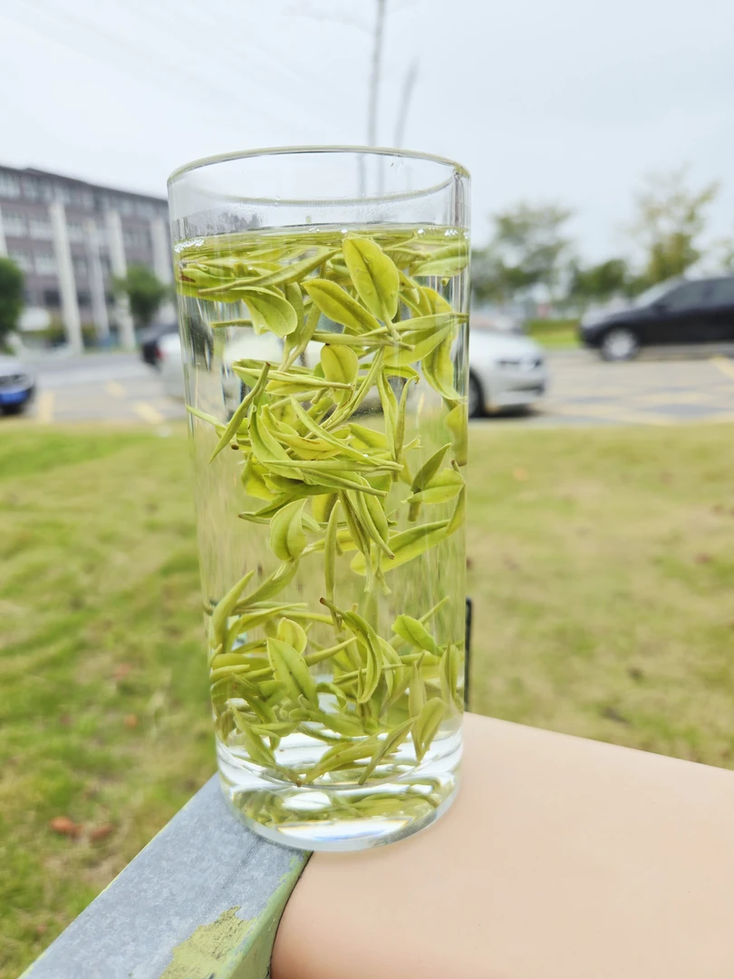 【直播福利】2025新茶安吉高山白茶小芽鲜爽口感春茶