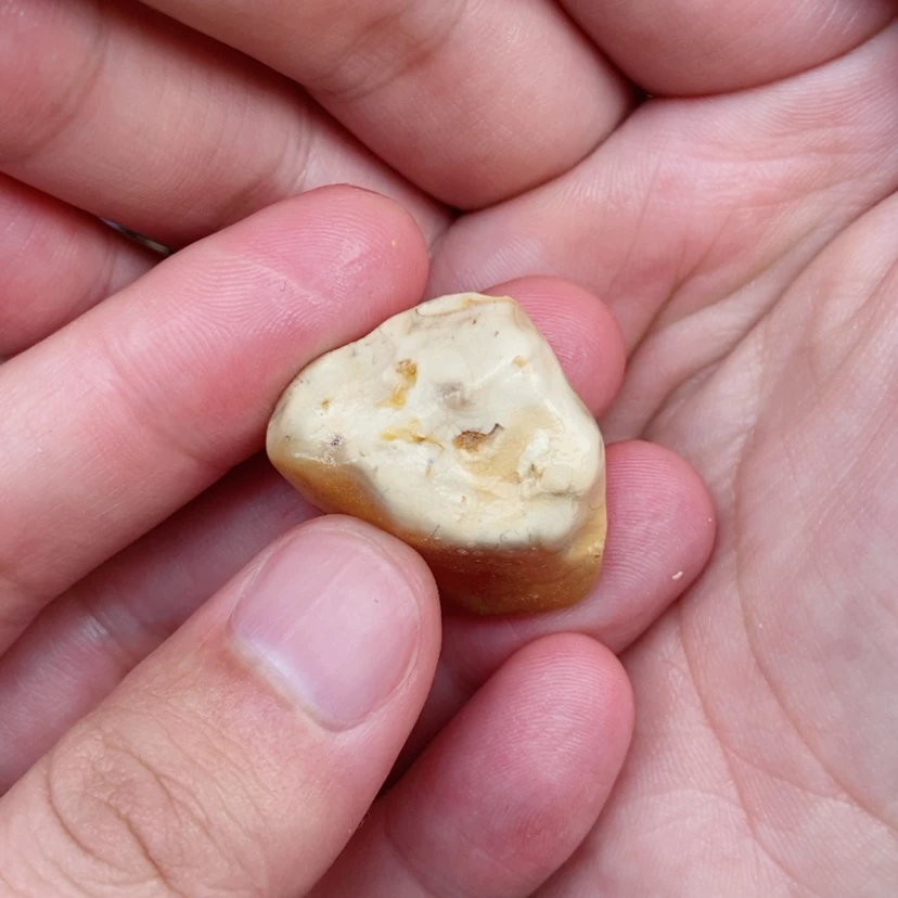 【闪购商品】定制琥珀未镶嵌蜜蜡