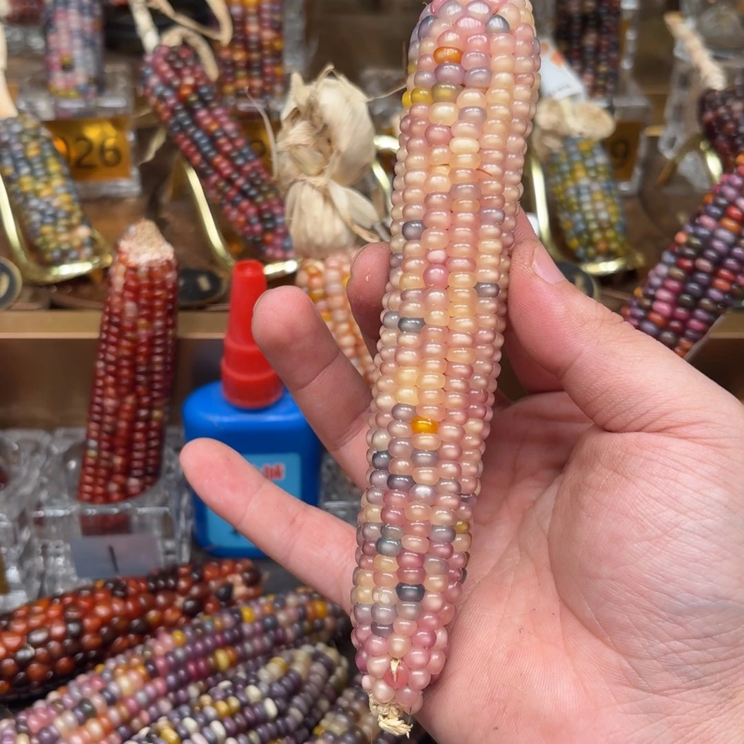 柏香籽/百香籽吊坠小***草