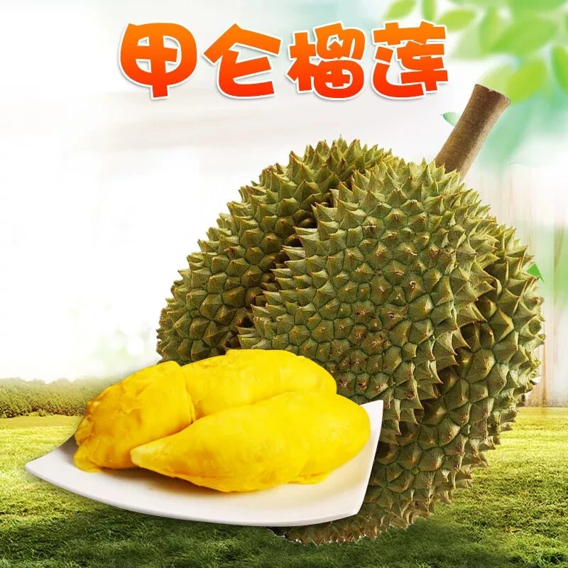 （SQ)2号称【一物一拍】泰国进口老树甲仑榴莲口感绵密树熟榴莲鲜果