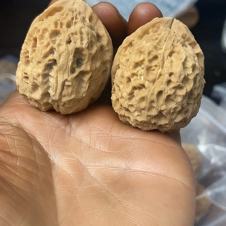 把件文玩核桃云南铁核桃基地75