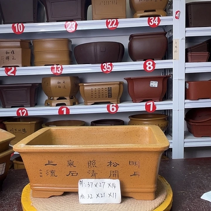 花盆紫砂你在一起