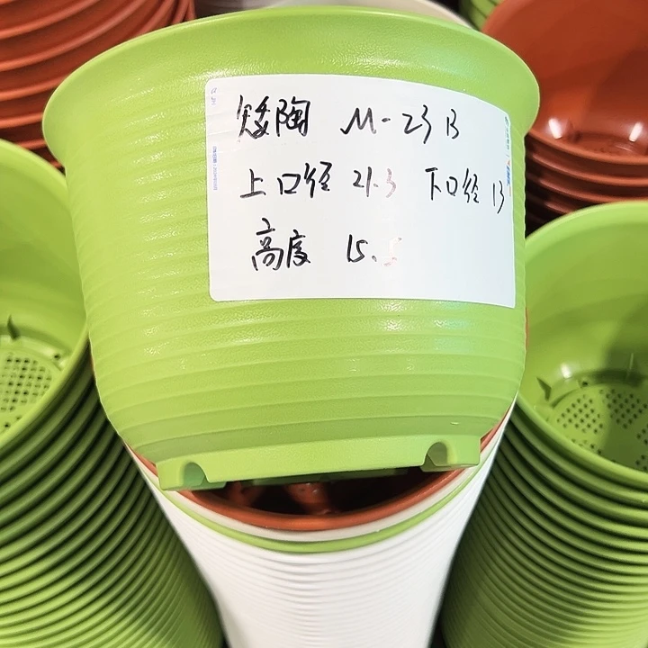 正品矮陶口21高15果绿无托8只