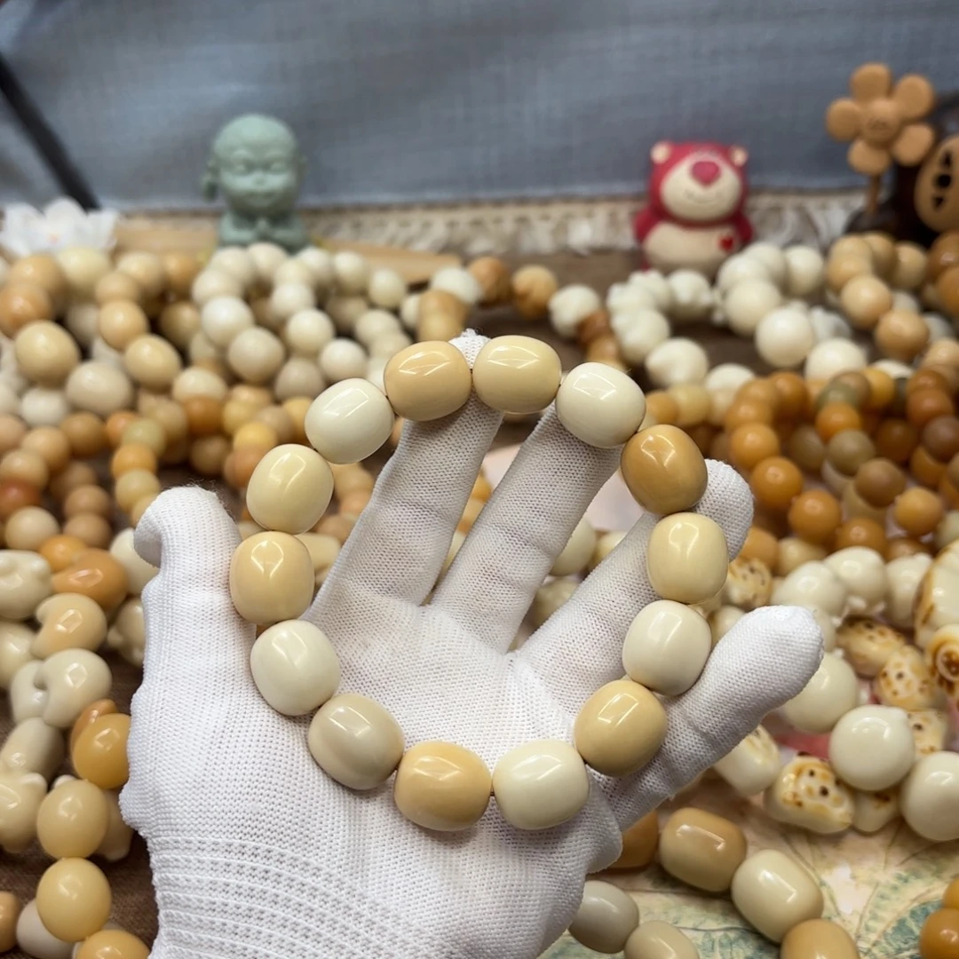 吊坠菩提根/象牙果18干磨瑕疵牙果枣502