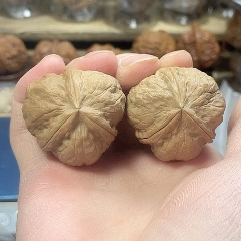 文玩核桃把件玄武索带彩36+微差尺