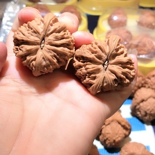 满***仓桃核吊坠南疆石…⋯.。