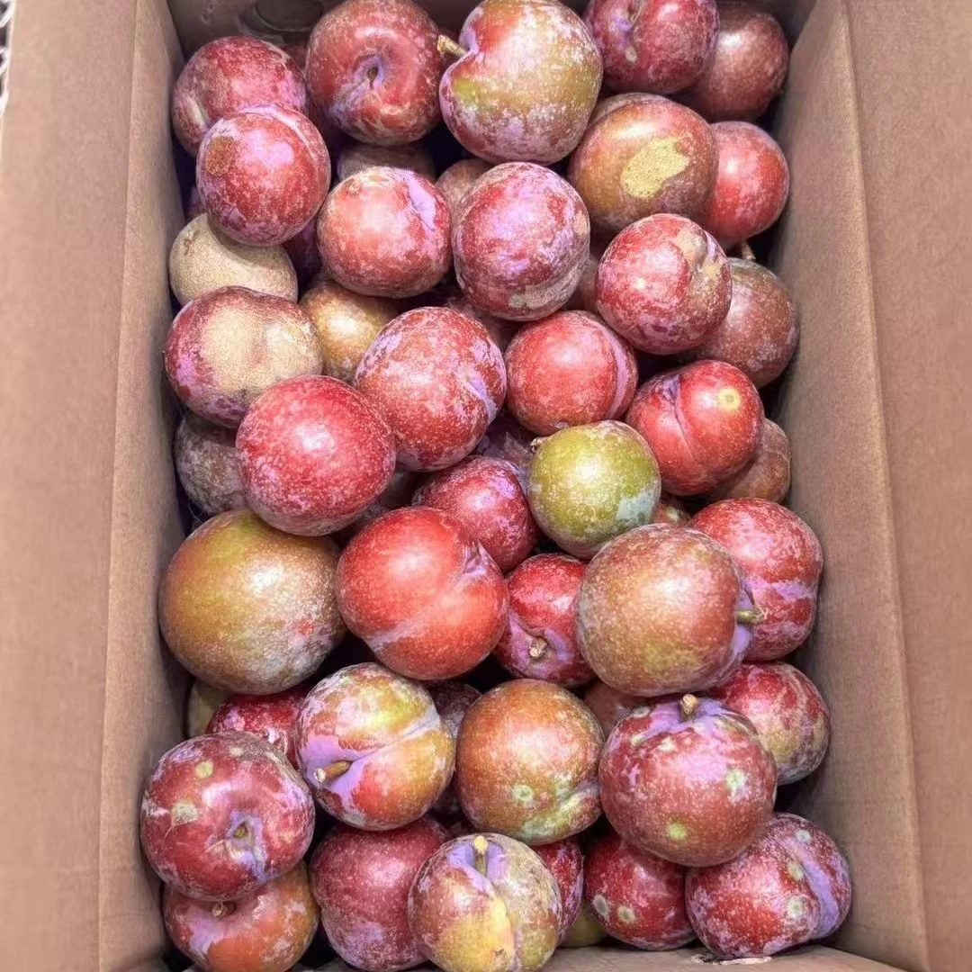红心三华李新鲜当季广西红心李子酸甜脆爽现摘现发孕妇水果腌酸嘢