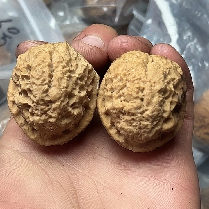 核桃42号蟾祖39尺