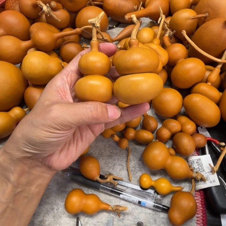 蝶***也得了两把钱带着葫芦