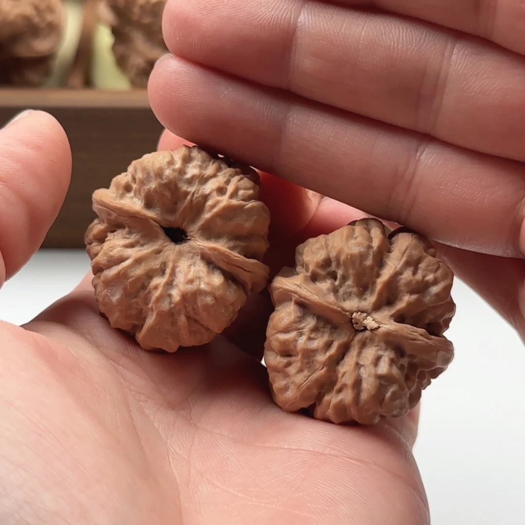 清***风延庆蛤蟆山地果子