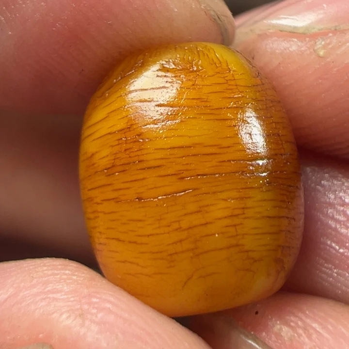 我们都是在这里关注