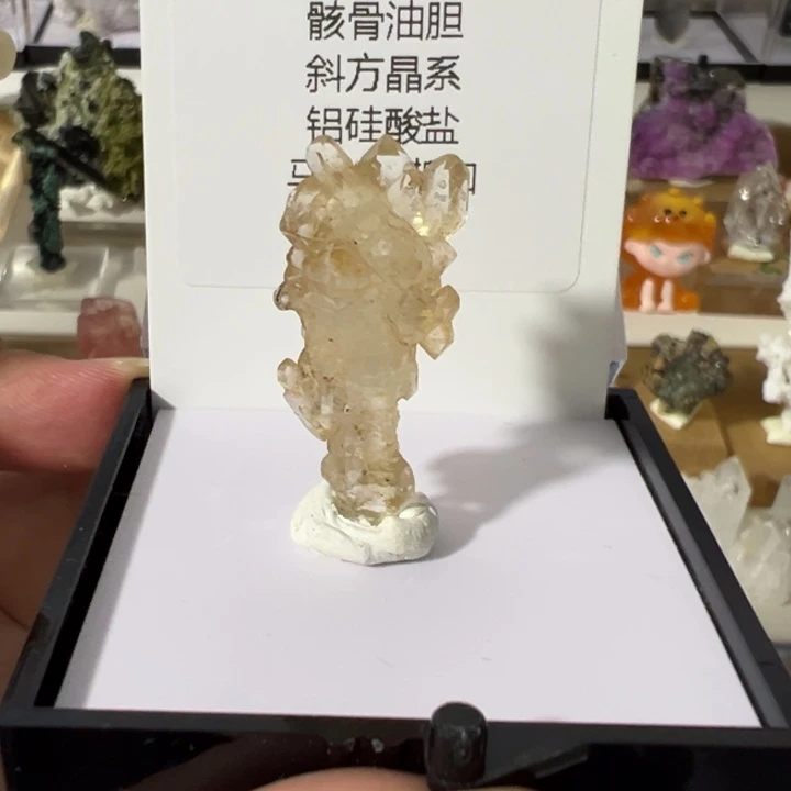 未镶嵌眼镜紫晶萤火虫油胆