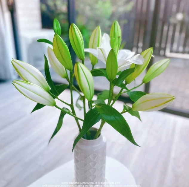 【新疆花之溪】水晶百合2头5枝（10%不赔付）