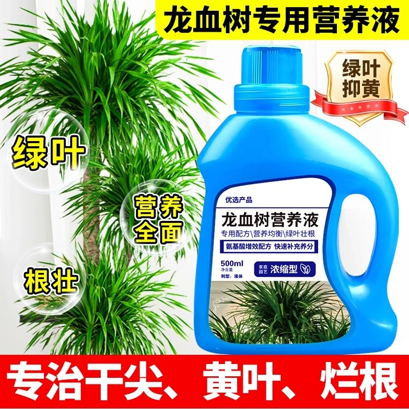 龙血树营养液叶子发黑金刚龙须树专用肥料花肥太空铁肥料盆栽通用