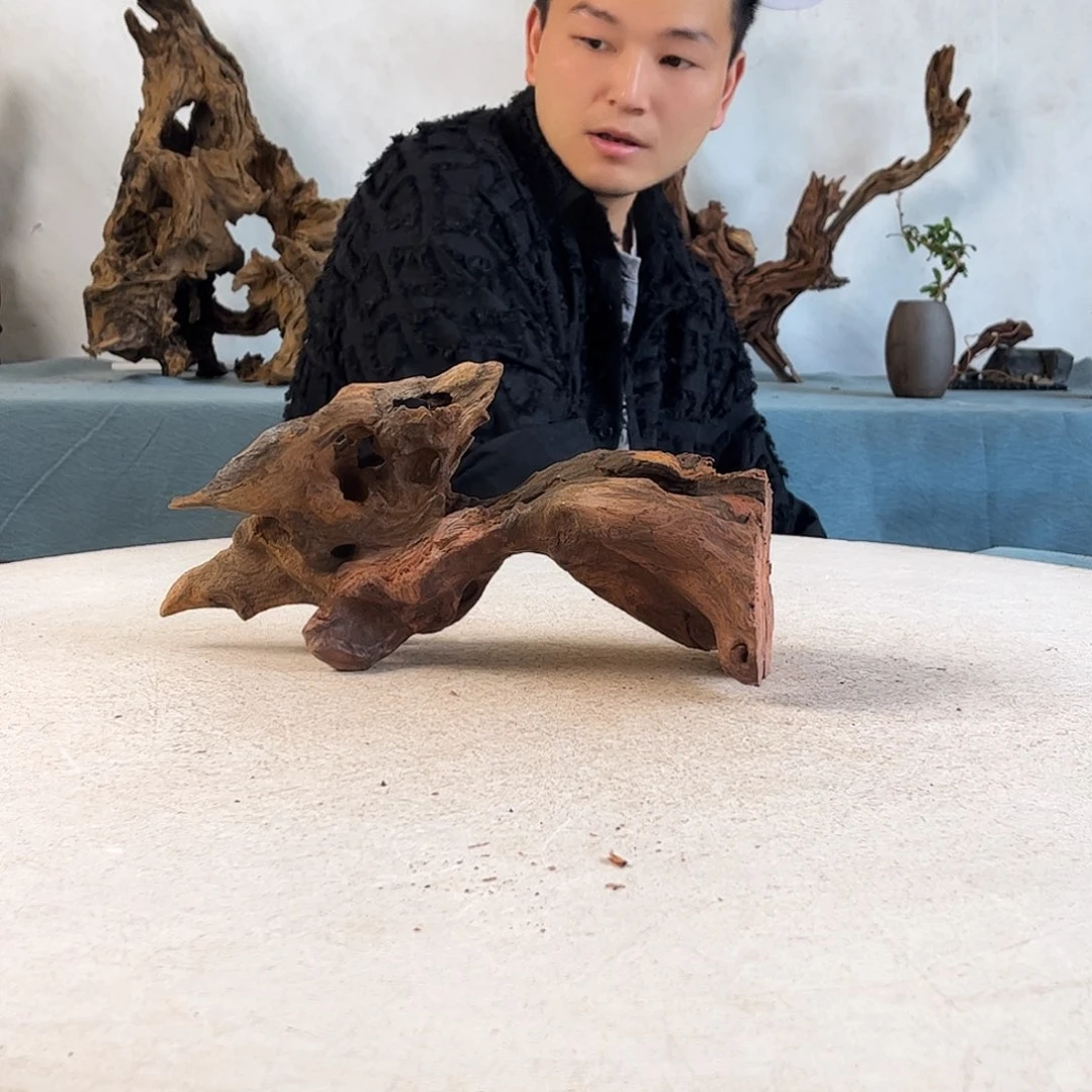 周末福利价沉木造景