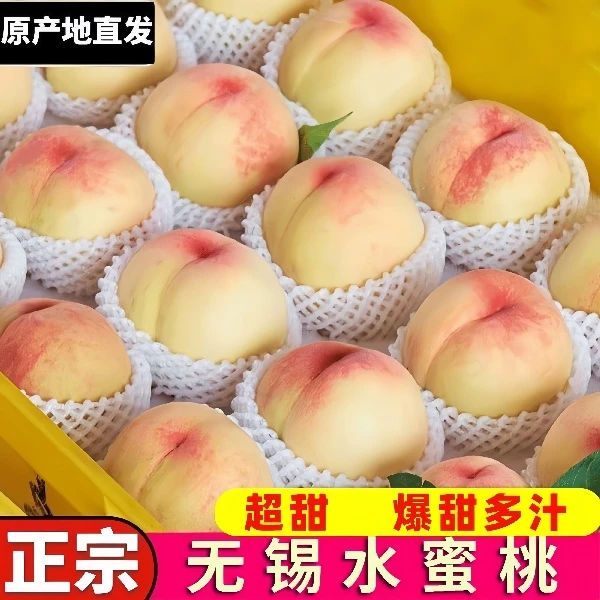 【无锡直发】新鲜湖景水蜜桃软甜多汁爽口果香皮薄美味采摘应季水果