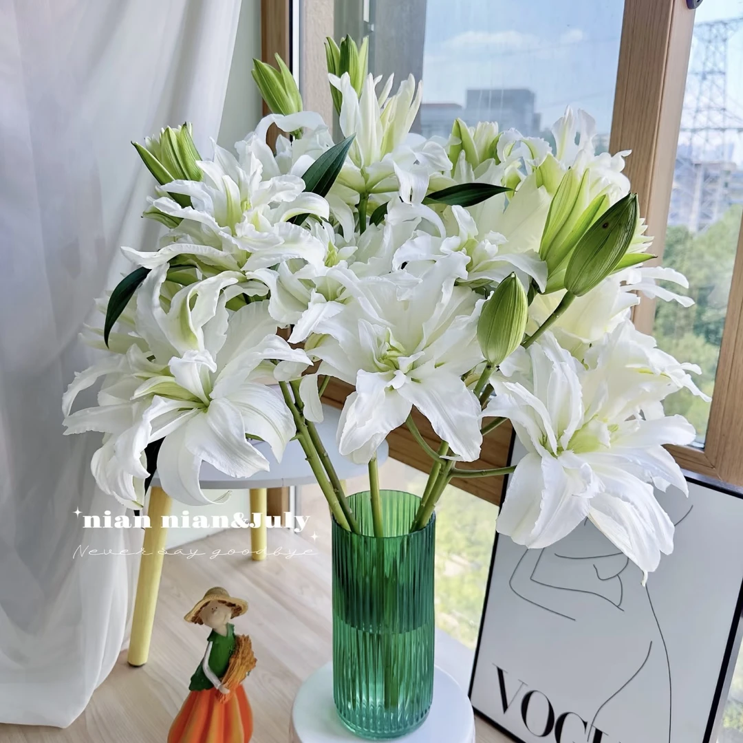 【艾莎】重瓣百东北鲜花基地直发顺丰包邮办公室装饰鲜花次日达