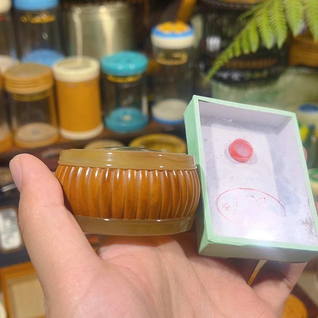 蟋蟀橄榄核万体+大黄蛉