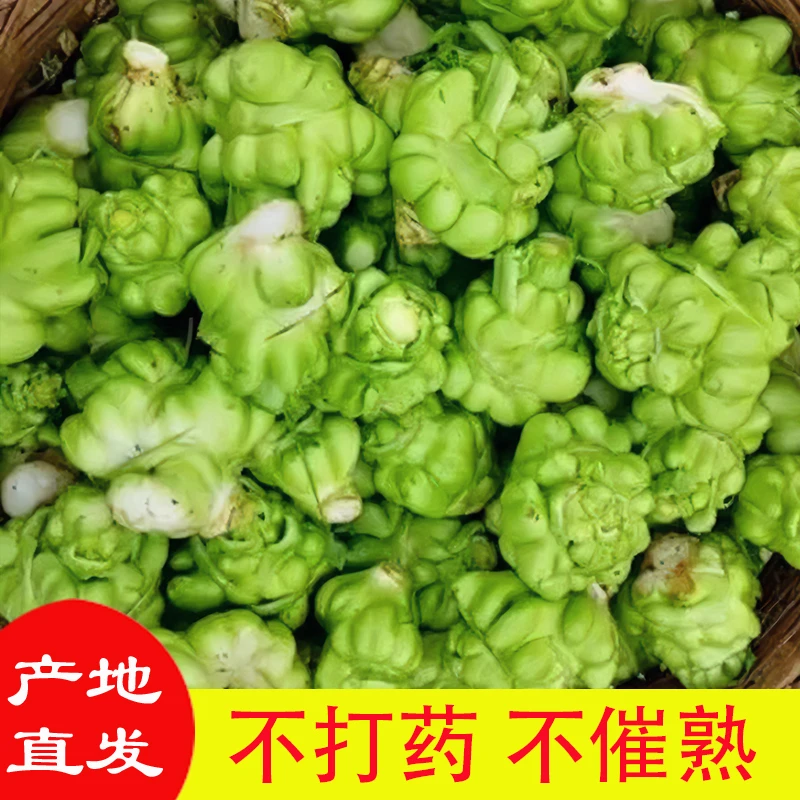 青菜头新鲜农家榨菜涪陵榨菜农家菜重庆涪陵丰都榨菜羊角菜包包菜